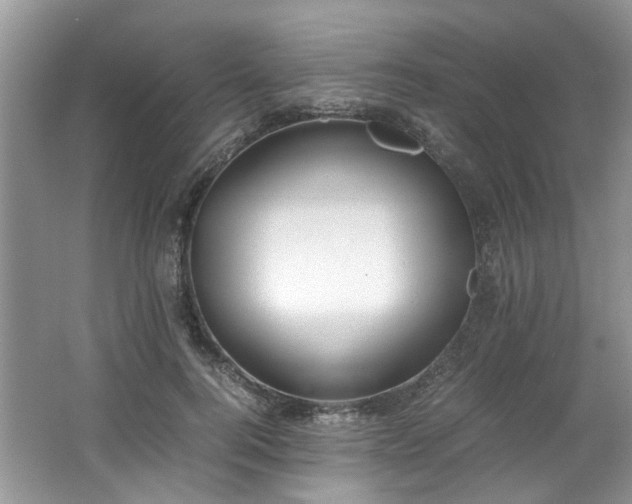 X0000062670744200512211334