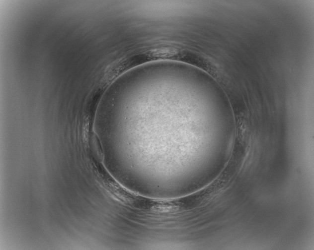 X0000062670745200512211334