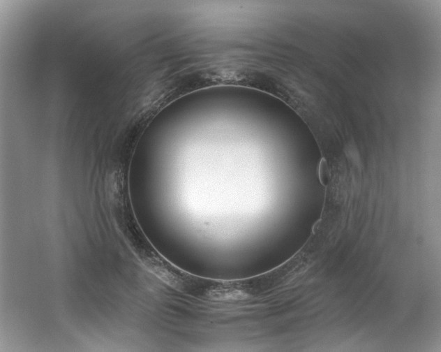 X0000062670747200512211334