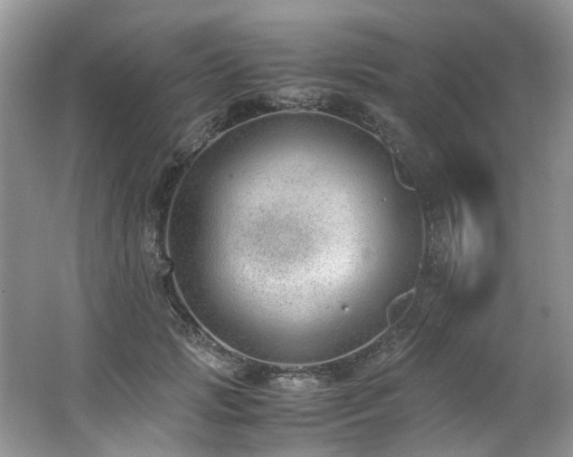 X0000062670749200512211335