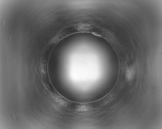 X0000062670755200512211335