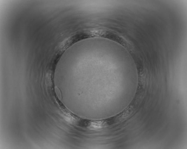 X0000062670757200512211335