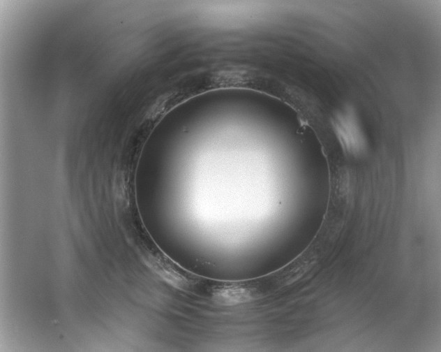 X0000062670759200512211335