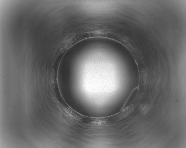 X0000062670760200512211335