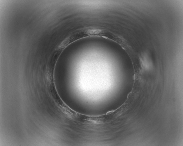 X0000062670763200512211335