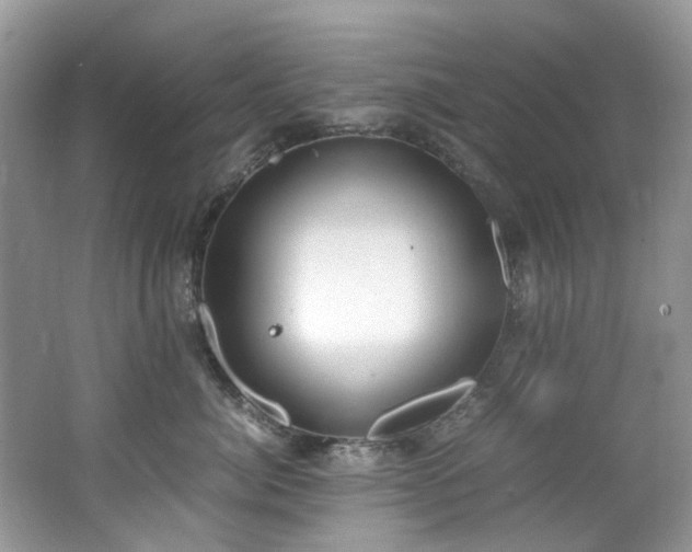 X0000062670764200512211335