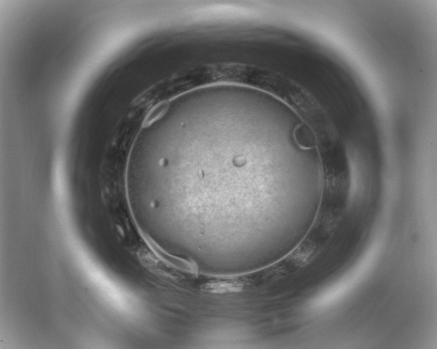 X0000062670765200512211335