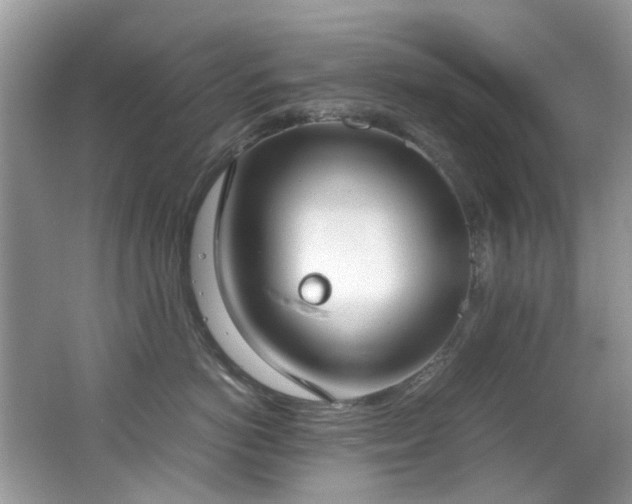 X0000062670766200512211335