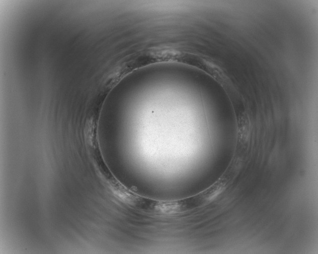 X0000062670767200512211335