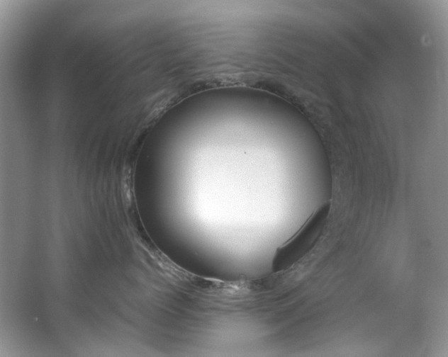 X0000062670768200512211335