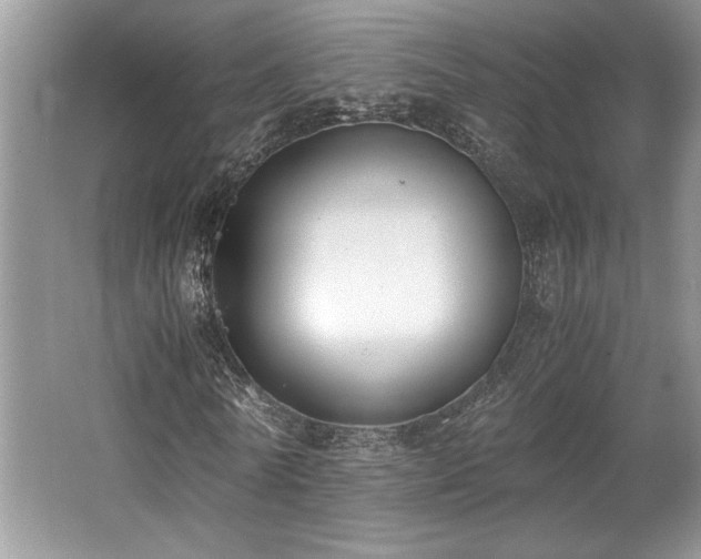 X0000062670770200512211334