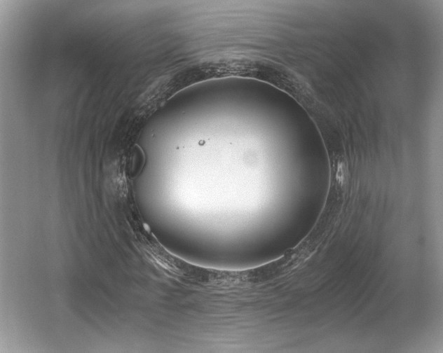 X0000062670771200512211334