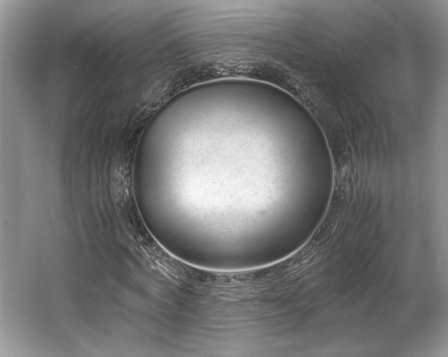 X0000062670772200512211334