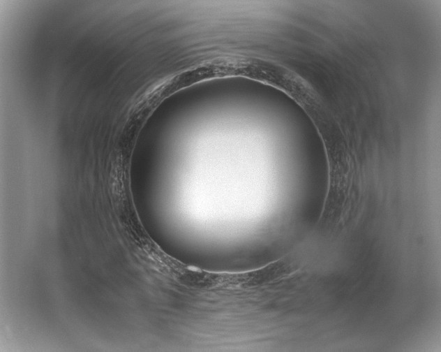 X0000062670773200512211334