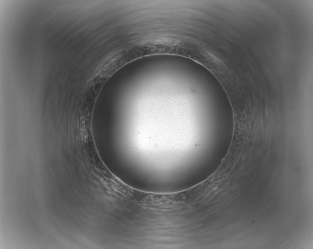 X0000062670774200512211334