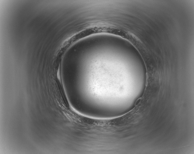 X0000062670775200512211334