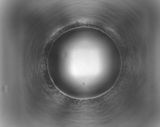 X0000062670776200512211334