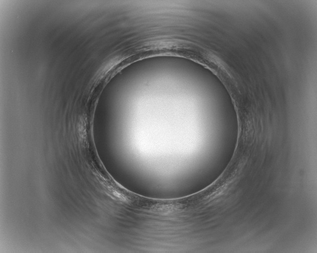 X0000062670778200512211334