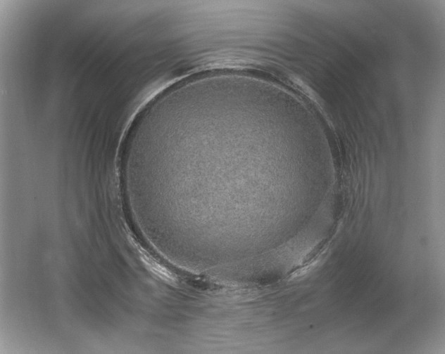 X0000062670779200512211334