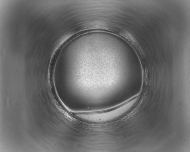 X0000062670780200512211334