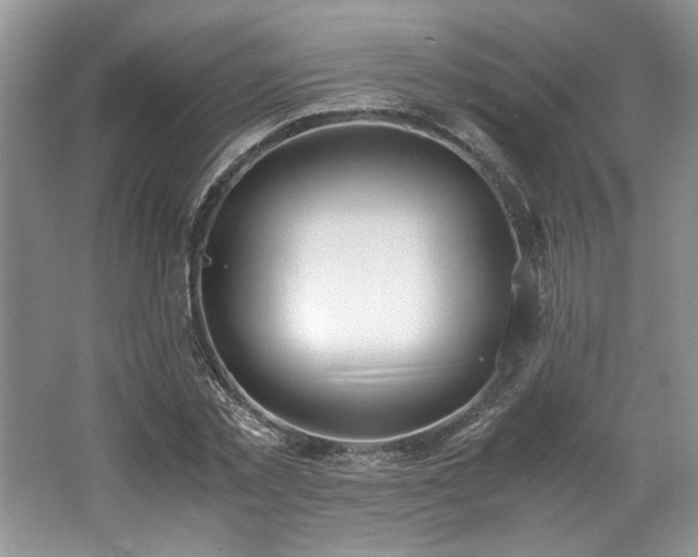 X0000062670781200512211334