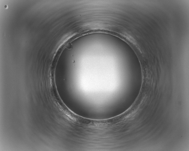 X0000062670782200512211334