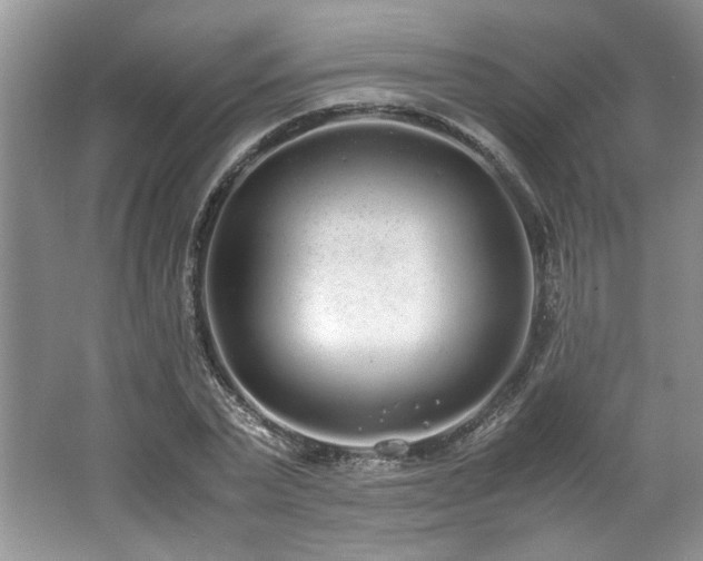 X0000062670783200512211334