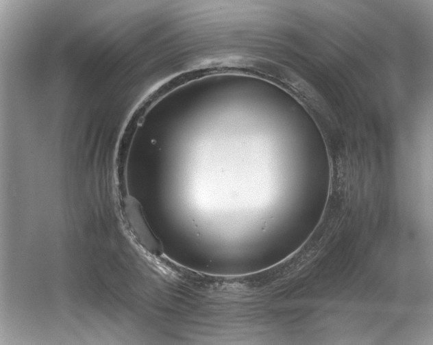 X0000062670784200512211334