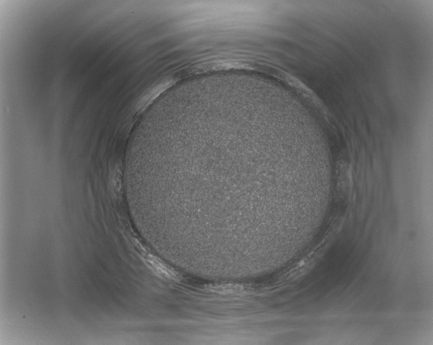 X0000062670785200512211334