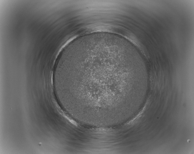 X0000062670790200512211334