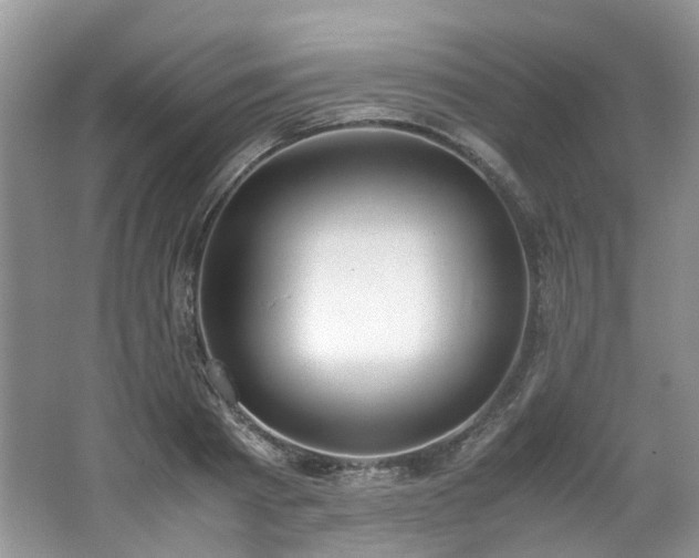 X0000062670793200512211334