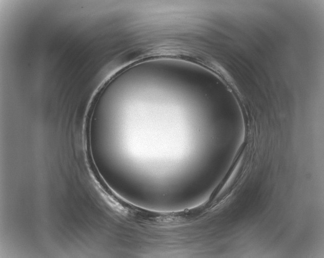 X0000062670795200512211334