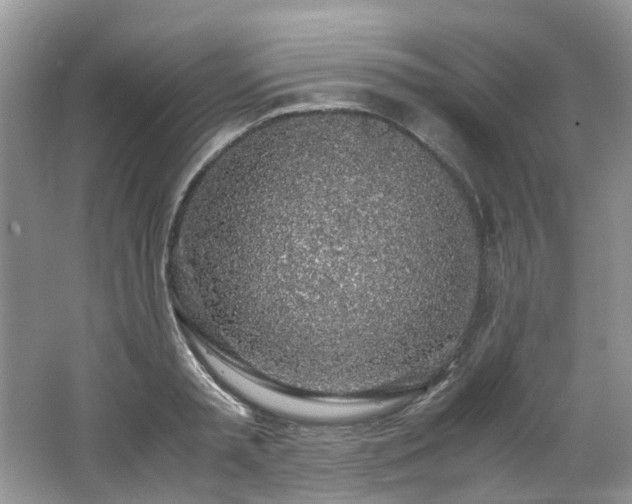 X0000062670797200512211334