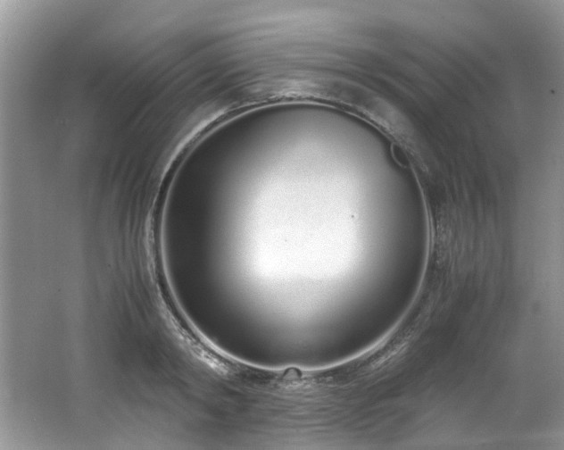 X0000062670798200512211334