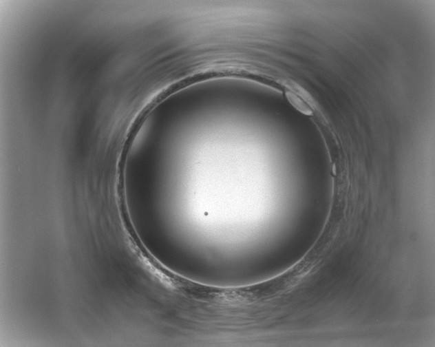 X0000062670799200512211333