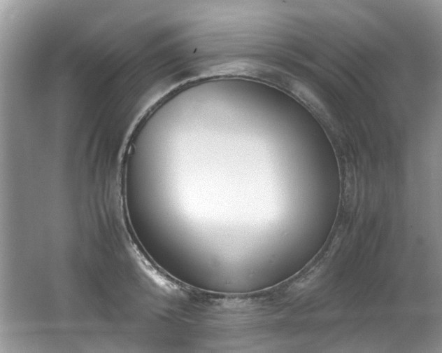 X0000062670800200512211333