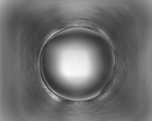 X0000062670803200512211333