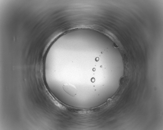 X0000062670804200512211333