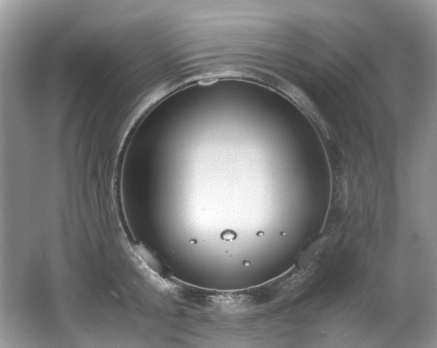 X0000062670805200512211333