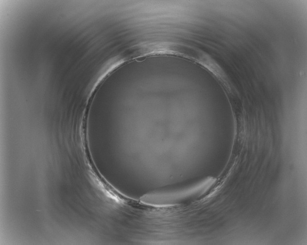 X0000062670806200512211333