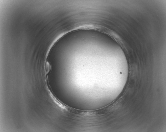 X0000062670808200512211333