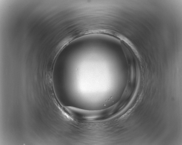 X0000062670809200512211333