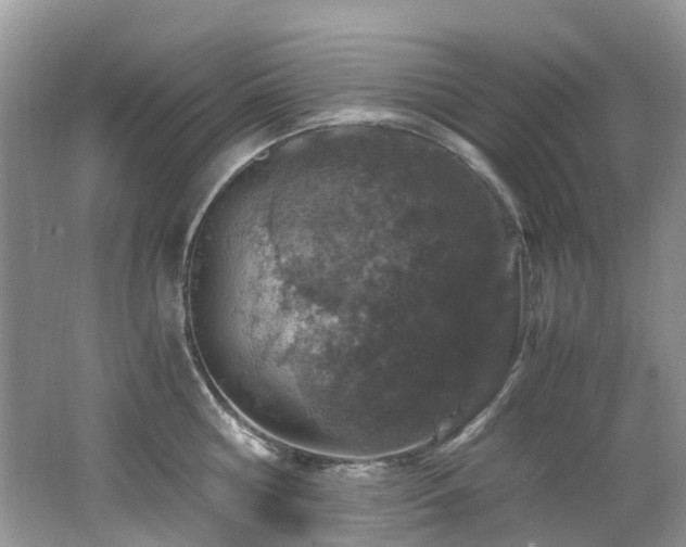 X0000062670810200512211333