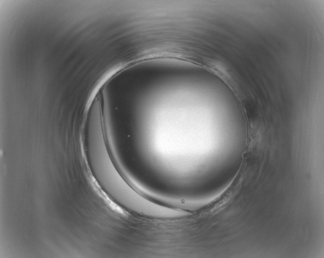 X0000062670812200512211333