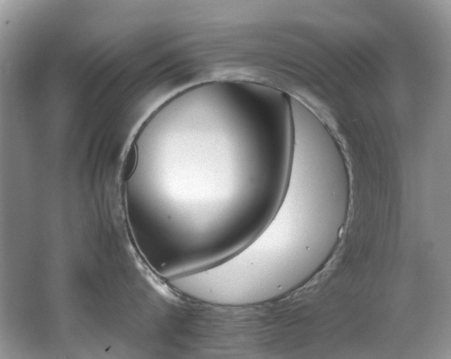 X0000062670816200512211333