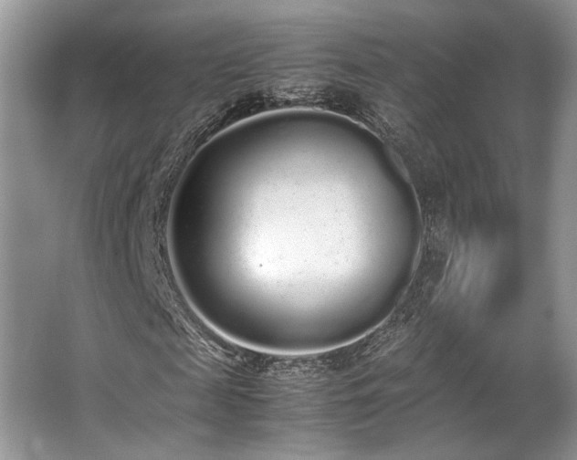 X0000062670817200512211332