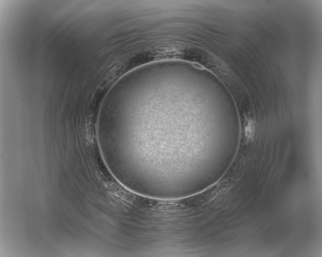 X0000062670819200512211332