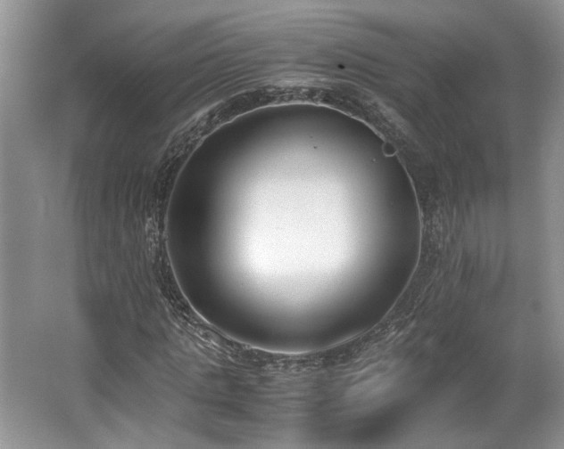 X0000062670821200512211332