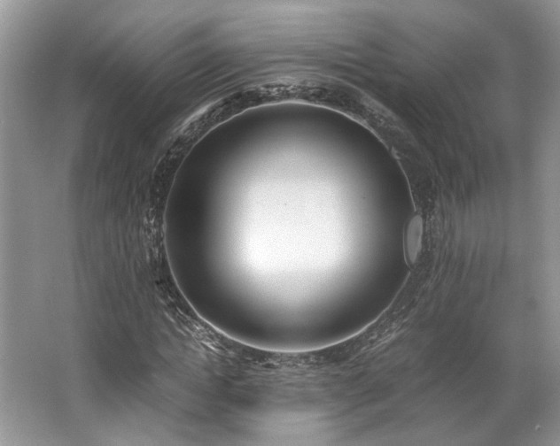 X0000062670822200512211332