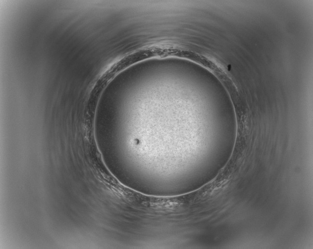 X0000062670823200512211332